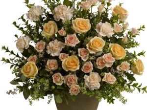 Rose Rememberance