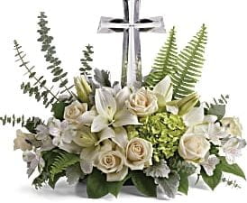 Life's Glory