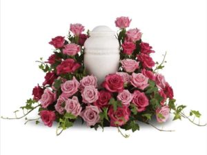 Bed of Pink Roses