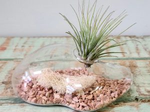 Floating Islands
